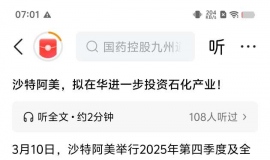 ɳ�ذ������ڻ���һ��Ͷ��ʯ����ҵ