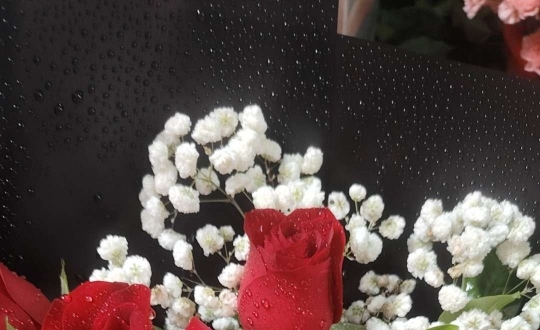 ����������