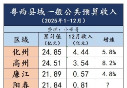 2025��������������������ܽ�