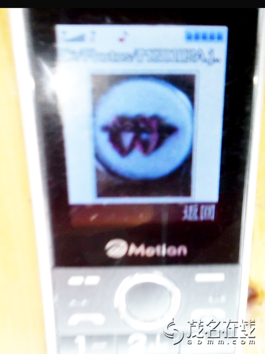 WP_000349.jpg