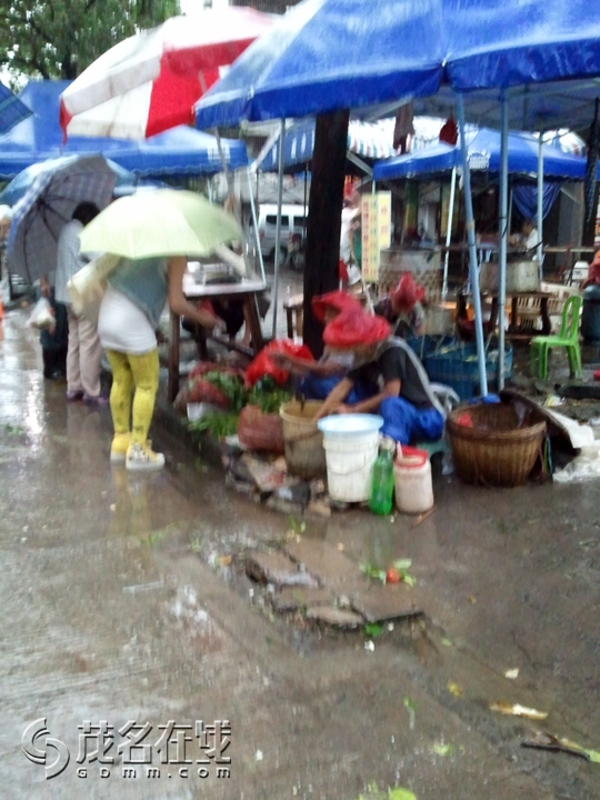 WP_001250.jpg