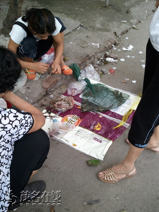 WP_001319.jpg