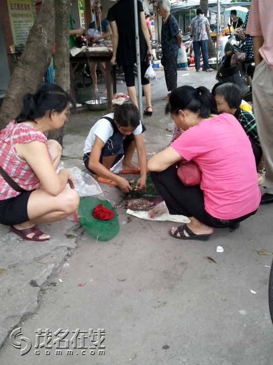 WP_001321.jpg