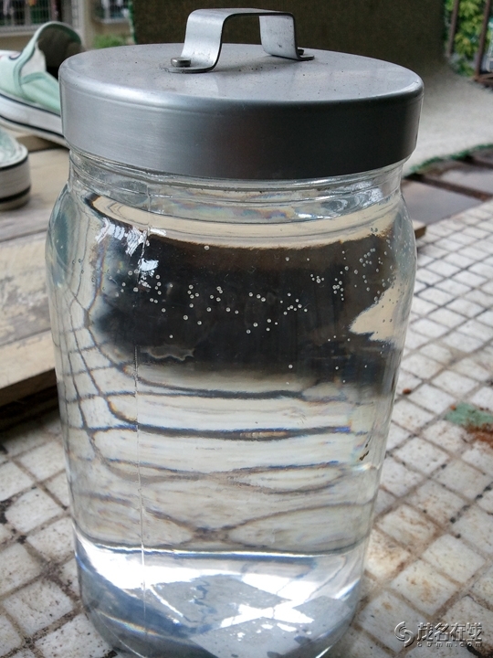 WP_003383.jpg