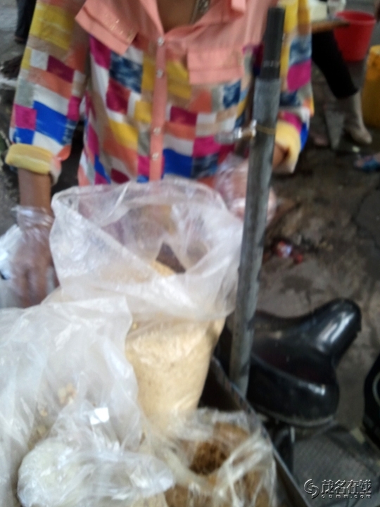 WP_004710.jpg