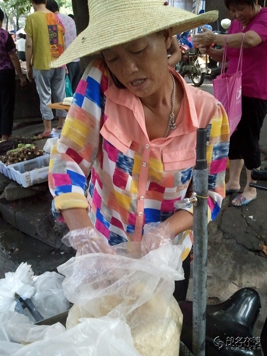 WP_004707.jpg