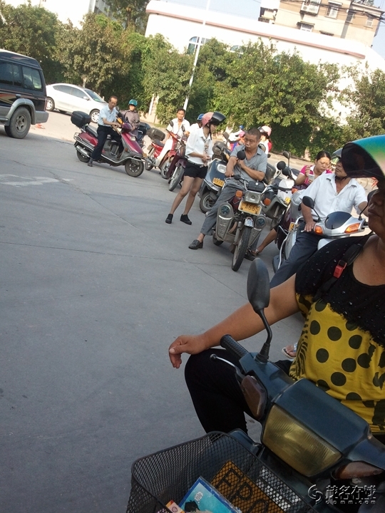 WP_005083.jpg