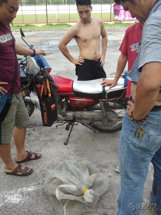 WP_005108.jpg