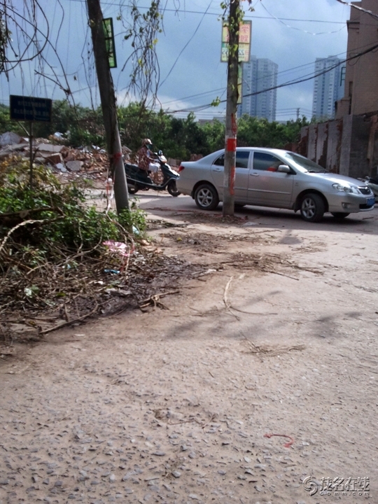 WP_005145.jpg