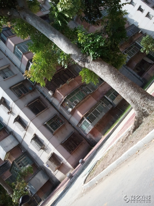 WP_005211.jpg