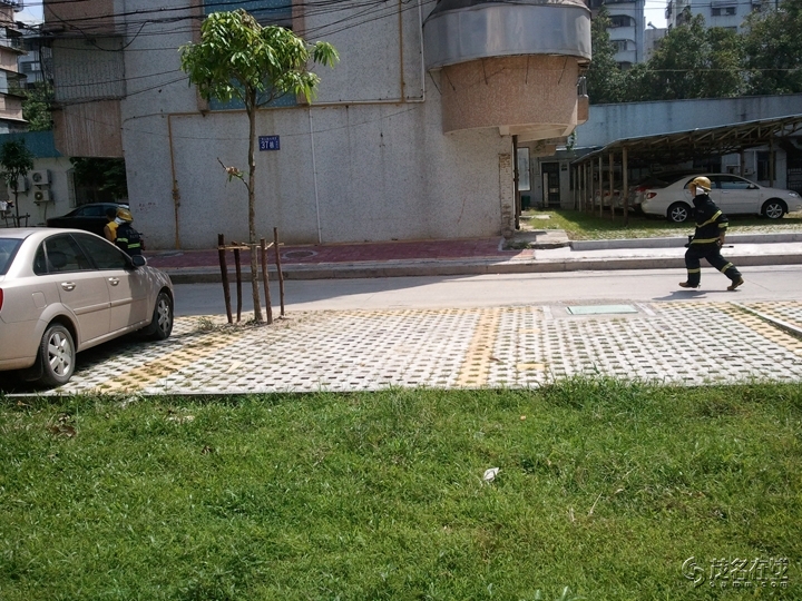 WP_005219.jpg