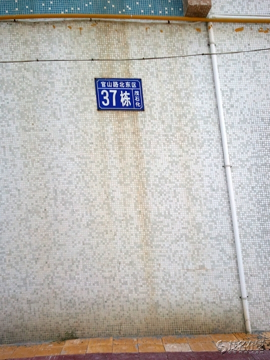 WP_005234.jpg
