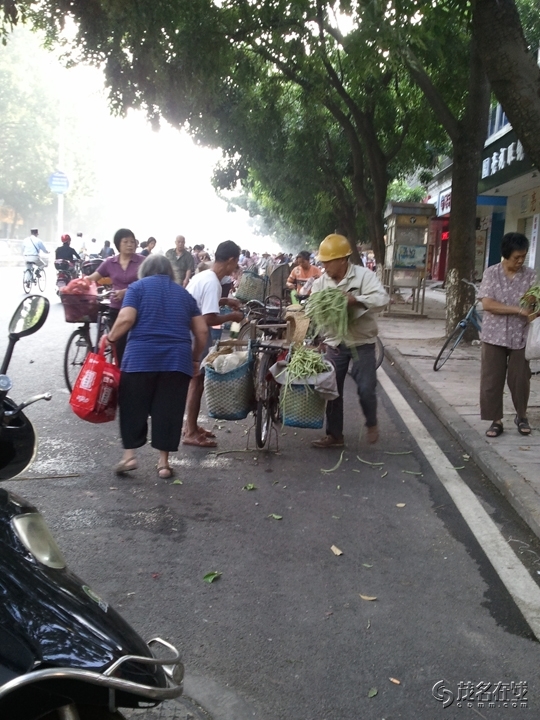 WP_005538.jpg