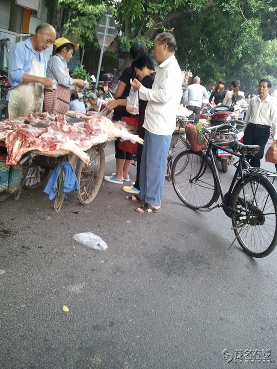 WP_005518.jpg