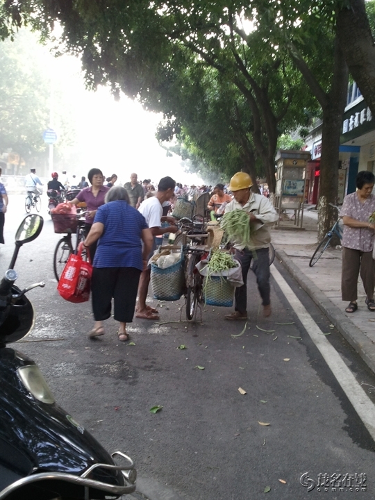 WP_005538.jpg
