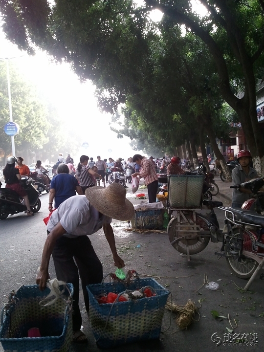 WP_005539.jpg