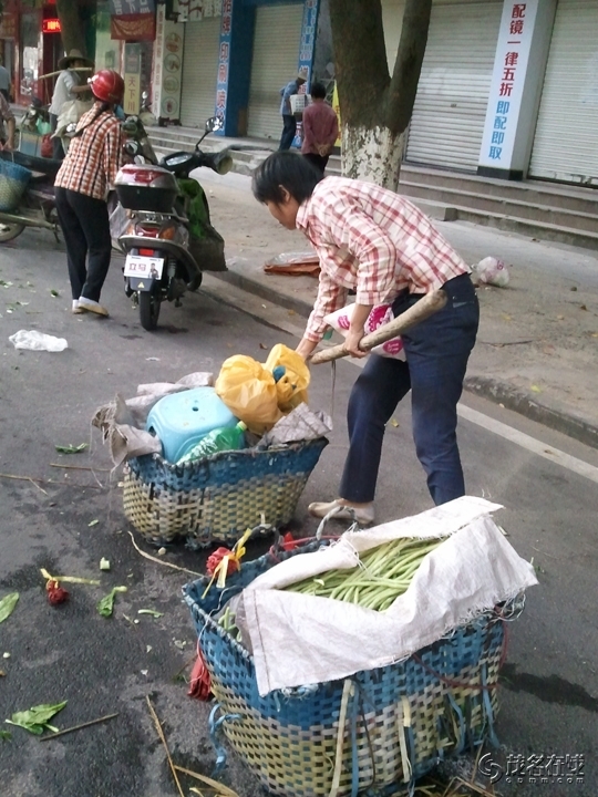 WP_005540.jpg