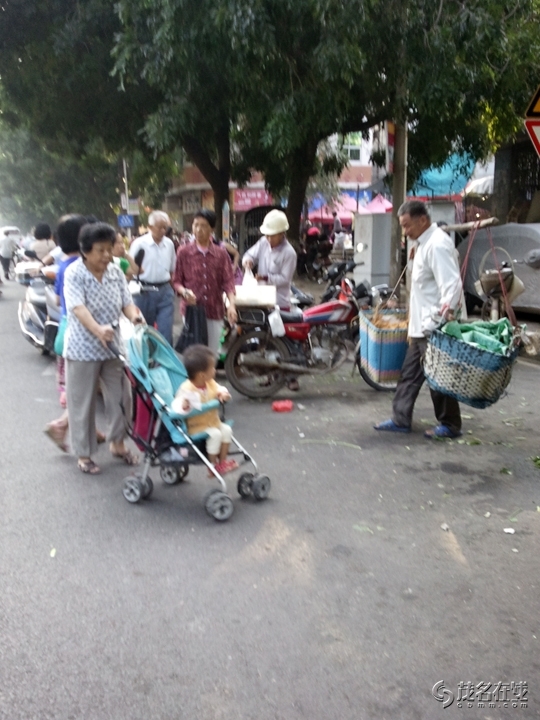 WP_005542.jpg