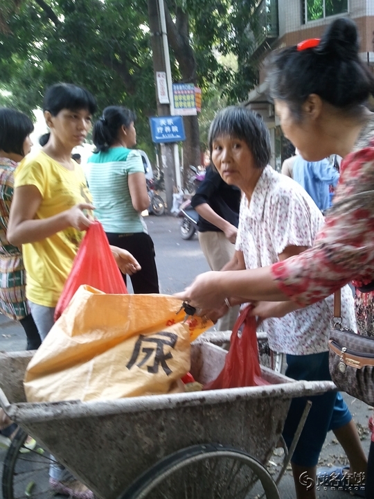 WP_005545.jpg