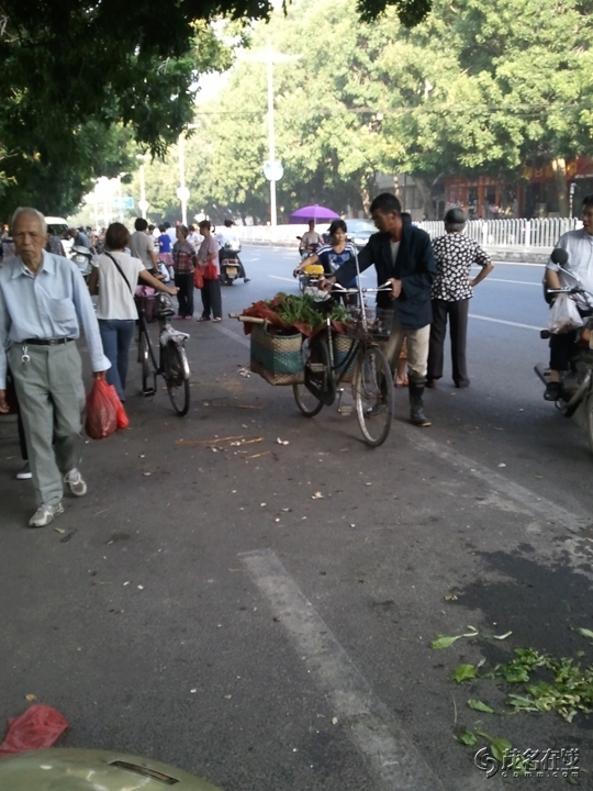 WP_005547.jpg