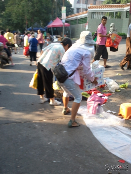 WP_005561.jpg