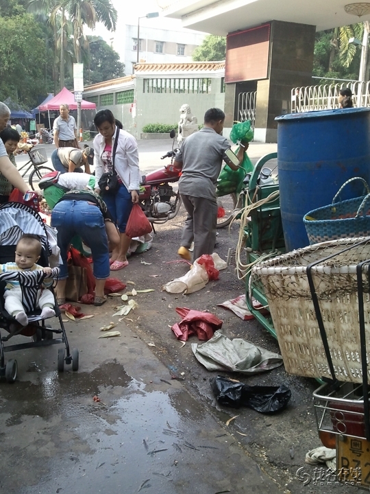WP_005560.jpg