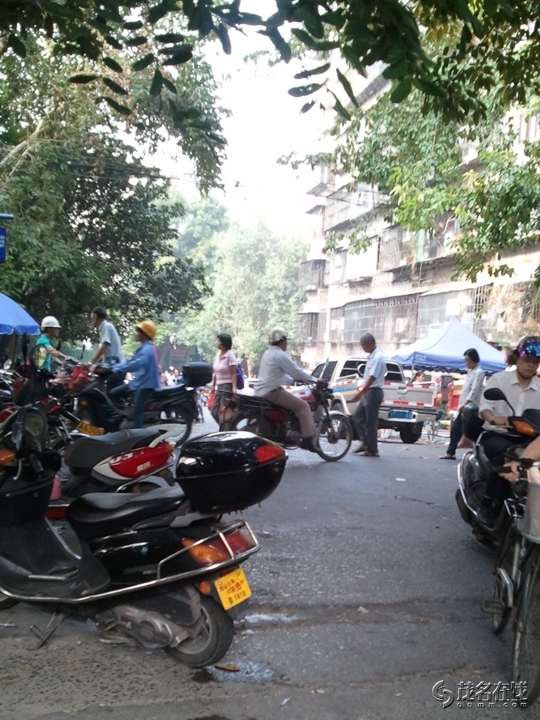 WP_005527.jpg