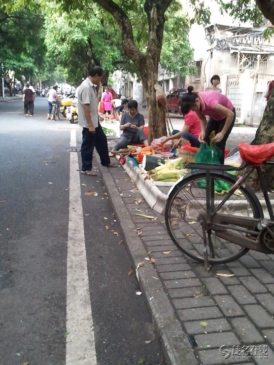 WP_004551.jpg