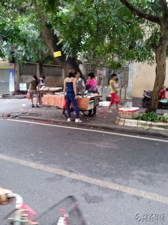 WP_004558.jpg