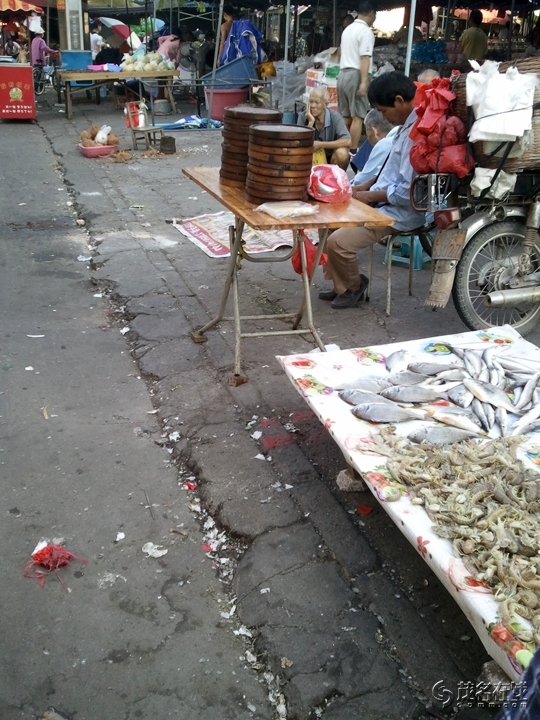 WP_005692.jpg