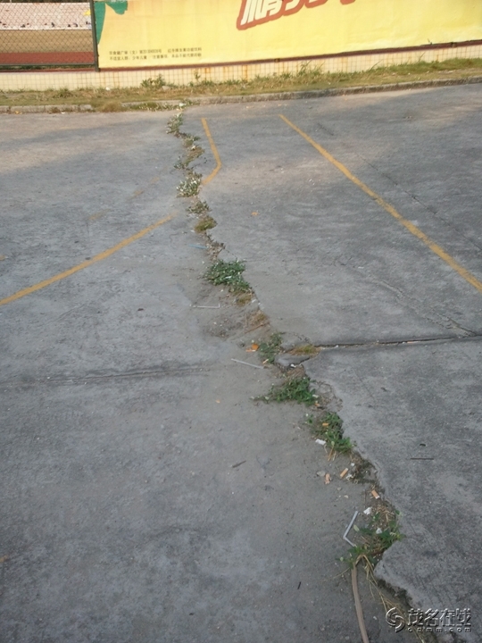 WP_005636.jpg