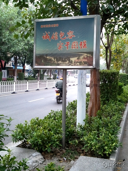 WP_005794.jpg