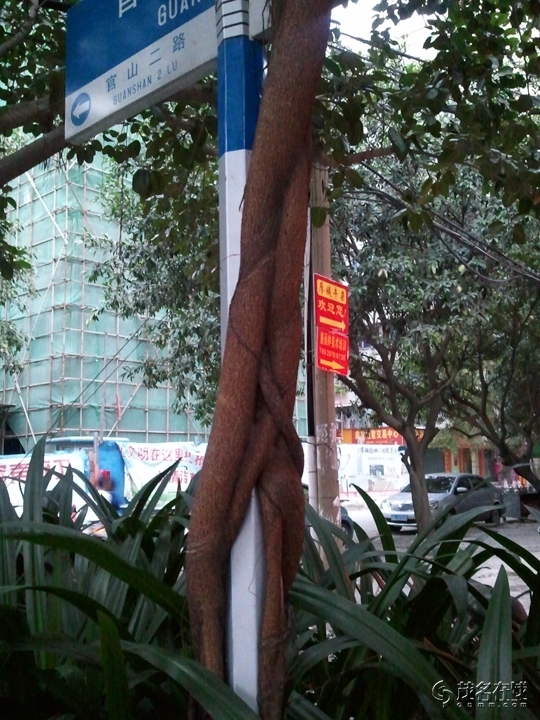 WP_005785.jpg