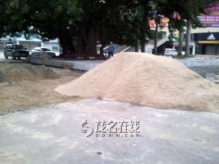 WP_005809.jpg