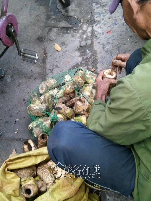 WP_006092.jpg