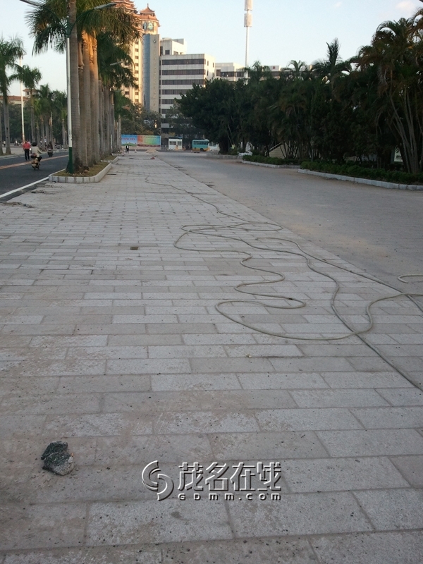 WP_006118.jpg