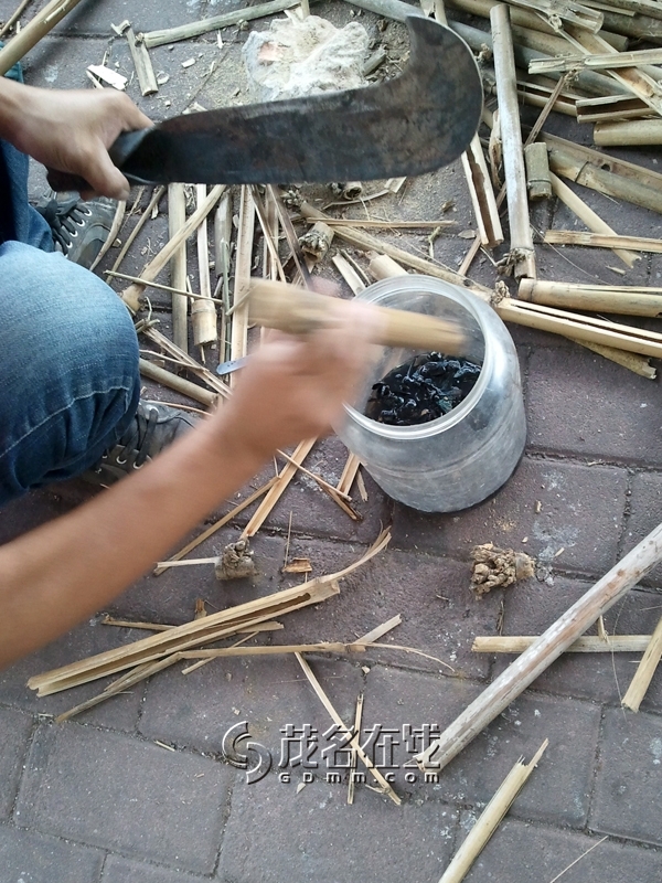 WP_006187.jpg