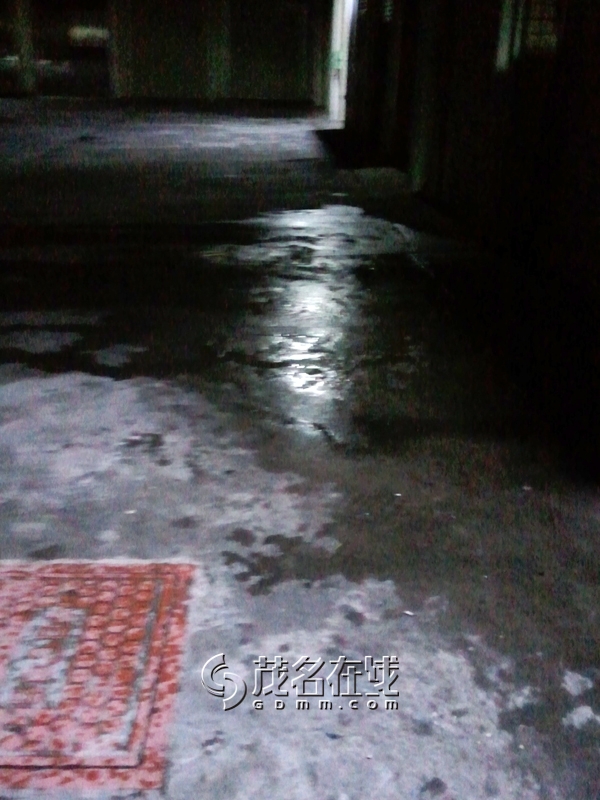 WP_006389.jpg