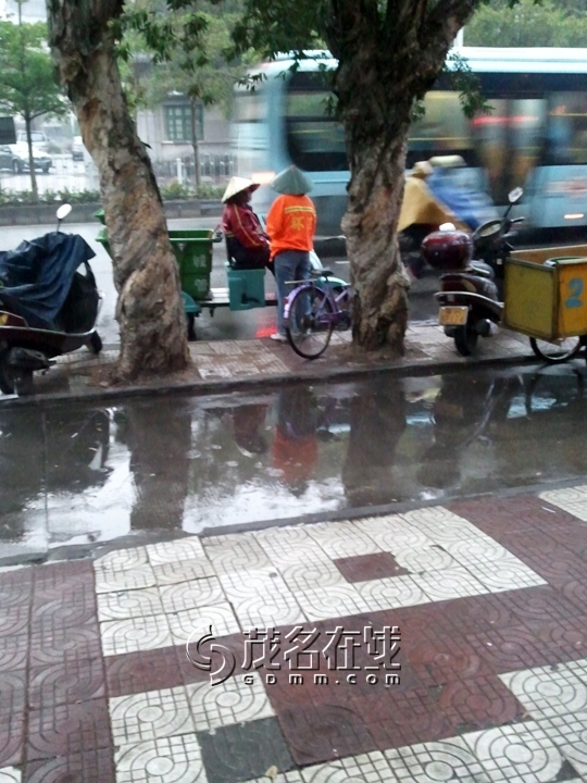 WP_006589.jpg