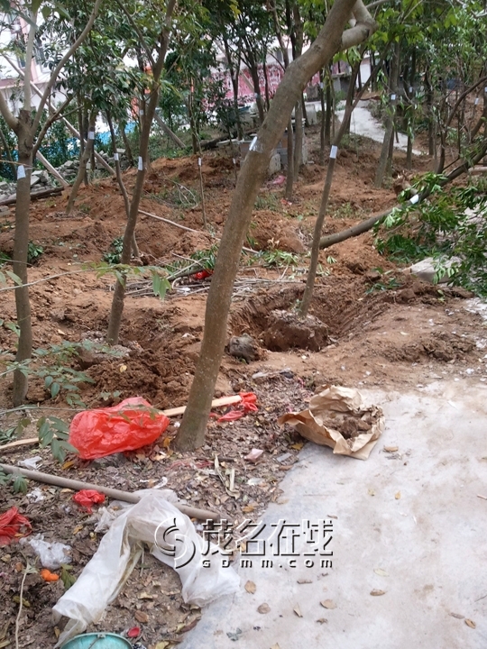 WP_006850.jpg