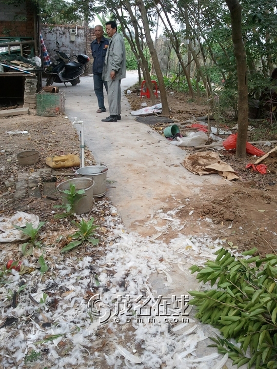 WP_006861.jpg
