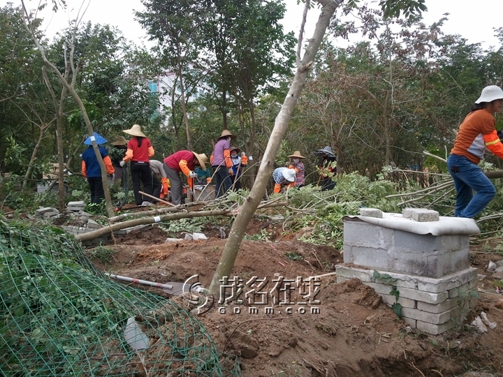 WP_006881.jpg