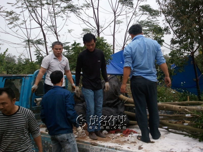 WP_006883.jpg