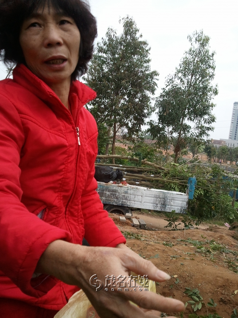 WP_006886.jpg