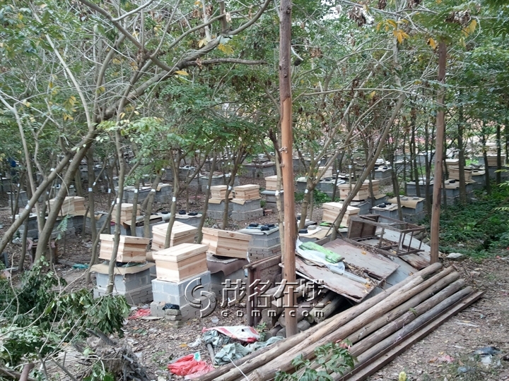 WP_006890.jpg