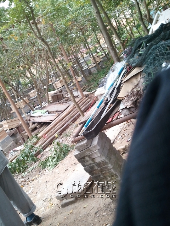 WP_006899.jpg