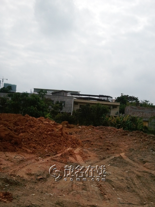 WP_006909.jpg