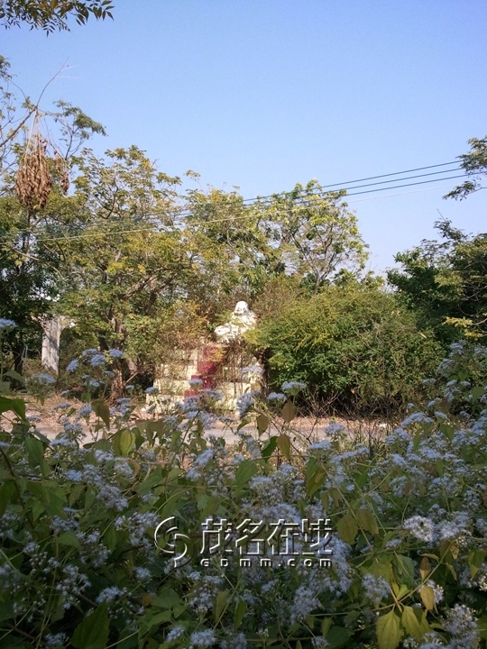 WP_006807.jpg