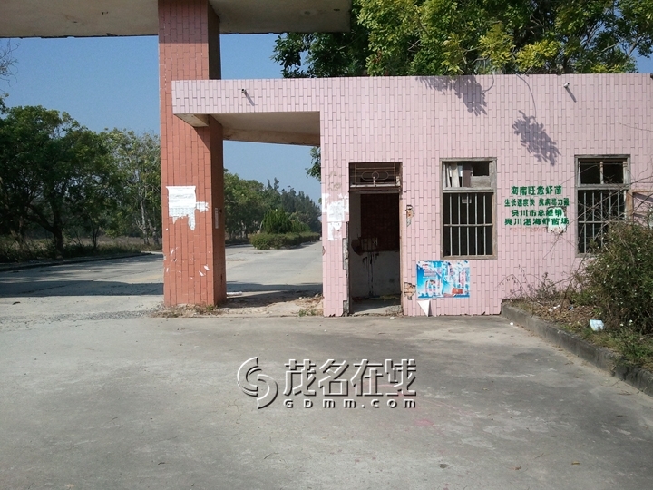 WP_006816.jpg