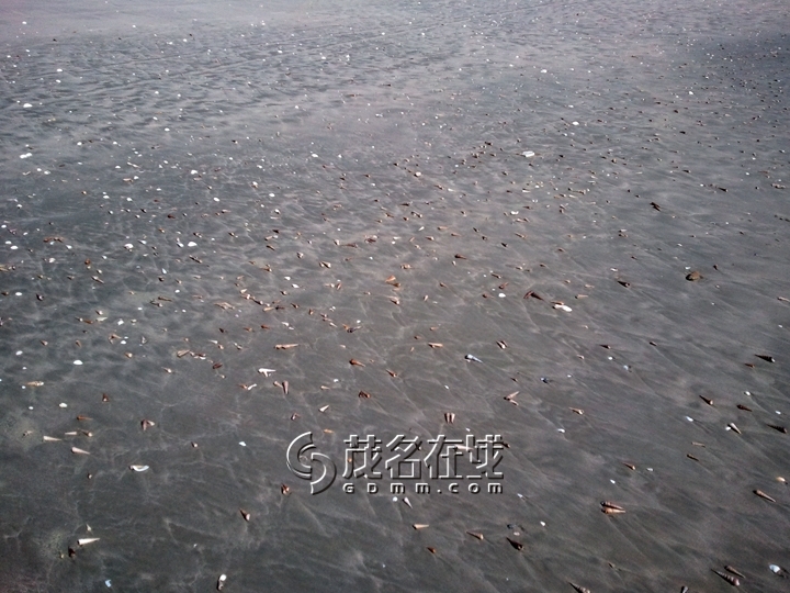 WP_006707.jpg